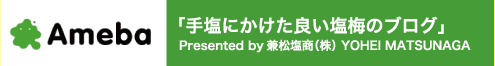 手塩にかけた良い塩梅のブログ